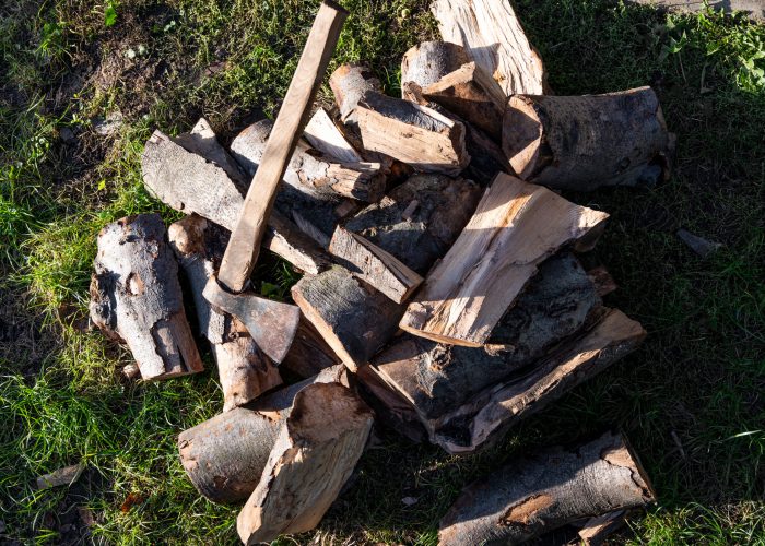 An axe and a pile of chopped wood outdoors